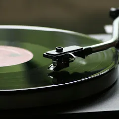 Avatar of Vinyl Cafe