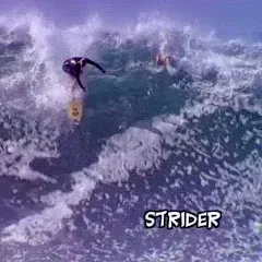 Avatar of WEDGE ACTION