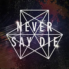 Avatar of Never Say Die Records