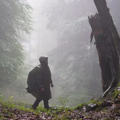 Avatar of wildbush