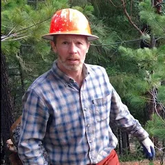 Avatar of Wilson Forest Lands