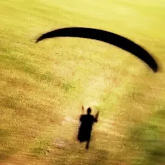 Avatar of Paragliding XC Stories