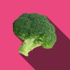 Avatar of Zesty Polvo