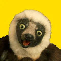 Avatar of Zoboomafoo - WildBrain