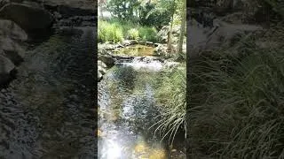 Thumbnail: Flowing waters