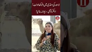 Thumbnail: Unbelievable Camel in lahore Mandi, |Even the Anchor fell in love.