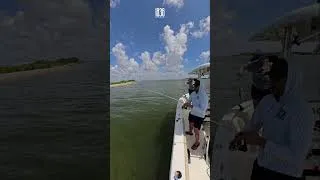 Thumbnail: Sunny Day Fishing Trip: Reel in the Fun! #shorts