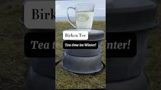 Thumbnail: Birken Tee - oder ganz einfach mal Tea time outdoors! #wildpflanzenküche #birkentee #draußensein