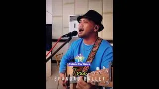Thumbnail: True - 2 of Us Acoustic Cover