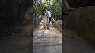 Thumbnail: পাহাড়ের লটকন টিয়ার খোজে ছয় তলার সমান এই টাওয়ারে উঠে পড়লাম