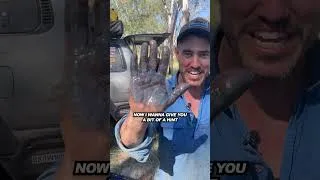 Thumbnail: What did Shaun just find in the Kimberley? 👀