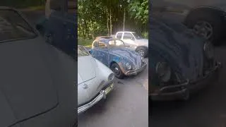 Thumbnail: Karmann Ghia or Beetle? #vwbeetle #automobile #5150mxvw #aircooled