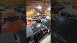 Thumbnail: Losing The Shop $Sale$ !!!  #vwbeetle #5150mxVw #vw #aircooled