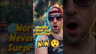 Thumbnail: This place is 100% better than a nightclub. And this is why... 🤫🌲