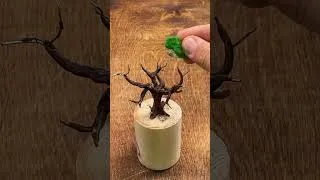 Thumbnail: DIY Pocket-size diorama with a tree twist 🤳