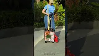 Thumbnail: Give Broken Luggage a Brand-New Life! 🧳✨ #luggage #recycling #reuse #gardencrafts