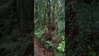 Thumbnail: If on an autumn's morning a traveller
