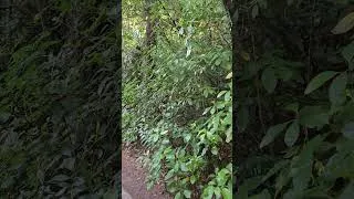 Thumbnail: It was a cold May morning