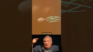 Thumbnail: Sperm Doesn't Technically "Swim"