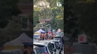 Thumbnail: Shooting near Toronto street festival kills 2 people, wounds 4, police say