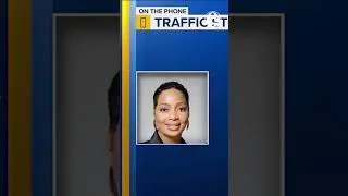 Thumbnail: Investigation underway after controversial traffic stop in Delaware