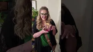 Thumbnail: Meet the Makers of the Homemaker Swap!