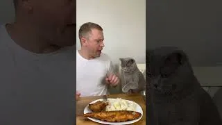Thumbnail: Feline Overlord Hit Me!!!
