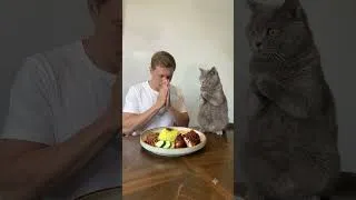 Thumbnail: 🤣 My Cat Said: AMEN!!!! 🙏🙏🙏