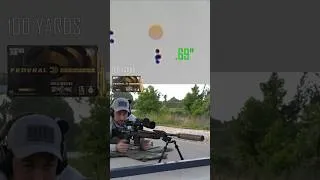 Thumbnail: How Accurate is the Larue Siete?