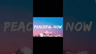 Thumbnail: Peaceful Now 🌿 ~  Letting Go of Mental Noise & Slowing Down ~ Soft Good  Playlist