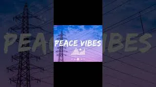 Thumbnail: Peace Vibes 🌿 ~ Letting Your Mind Fully Unwind ~  Good Energy Playlist