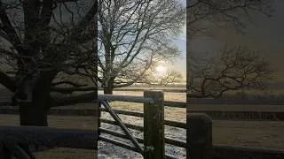 Thumbnail: The perfect way to start the day 🌞❄️🌟 #countryside #snow