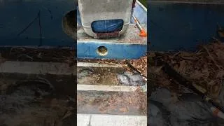 Thumbnail: There’s always a positive.. #fishing #boating #funny #outdoors #youtubeshorts