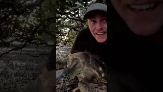 Thumbnail: Rescuing A Stranded Sea Turtle
