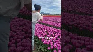 Thumbnail: Uniquely you ✨ One of the most beautiful experience at the Roozne Gaarde #tulip #usa #flowers