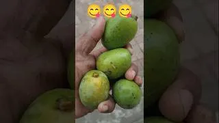 Thumbnail: Muh mein Pani Aagya 😋 || Aadhi Tufaan 😭 #trend #shorts #viral #a2ygs