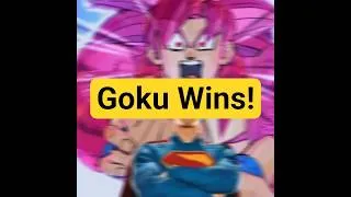 Thumbnail: Goku wins!