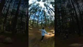 Thumbnail: van vihar Manali | Manali Himachal Pradesh #shorts #naturalbeauty #nature