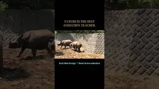 Thumbnail: Rhino #animation
