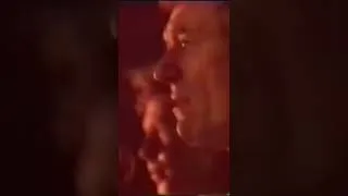 Thumbnail: Stop in the Name of Love - Hollies