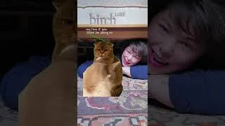 Thumbnail: Why I'm Emotionally Attached to my Birch Mattress (the best of 2026)