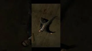 Thumbnail: Ragdoll in Max Payne 2