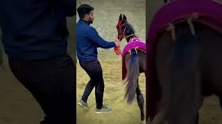 Thumbnail: BADAL🔥 #shorts || for more follow me on Instagram