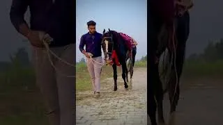 Thumbnail: BAAZIGAR 🔥#shorts