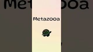 Thumbnail: Metazooa Day #1133