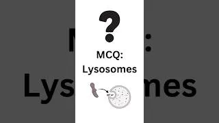 Thumbnail: MCQ: Lysosomes