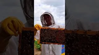 Thumbnail: does it really matter where our food comes from?
