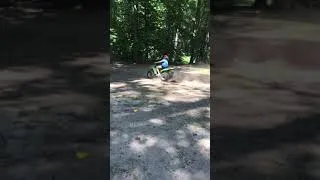 Thumbnail: Donuts In The Yard