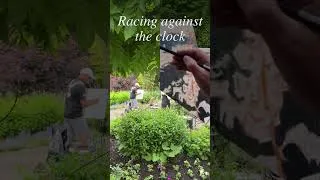 Thumbnail: Sauga Plein Air Competition, Mississauga, Ontario