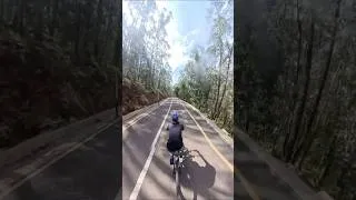 Thumbnail: Cycling at Africa Jungle